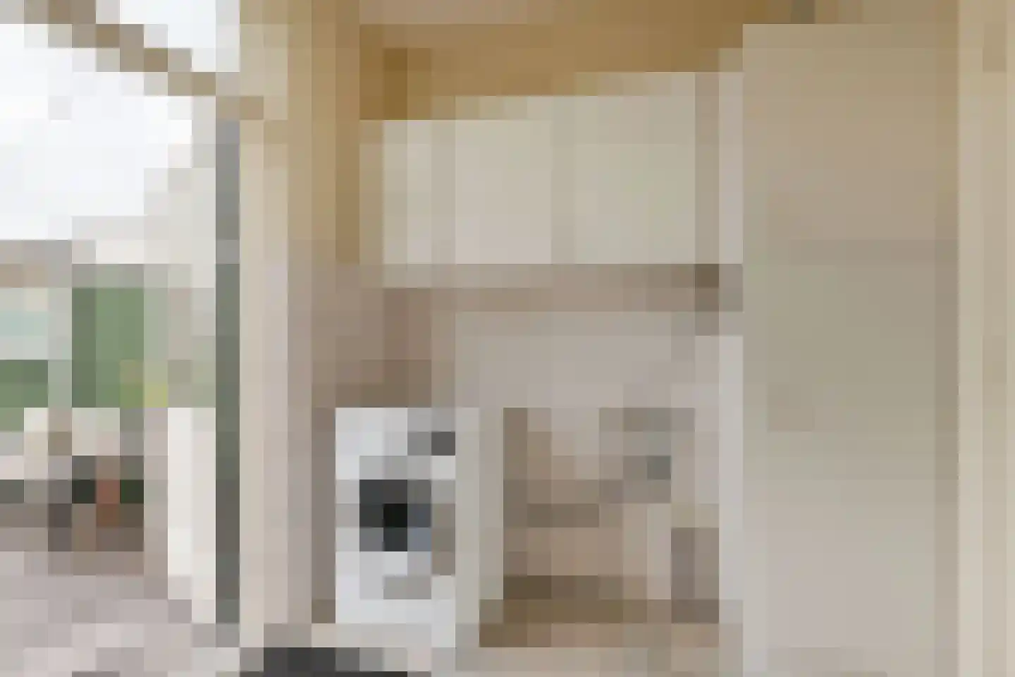 Westeinde 26 Schermerhorn thumbnail 23