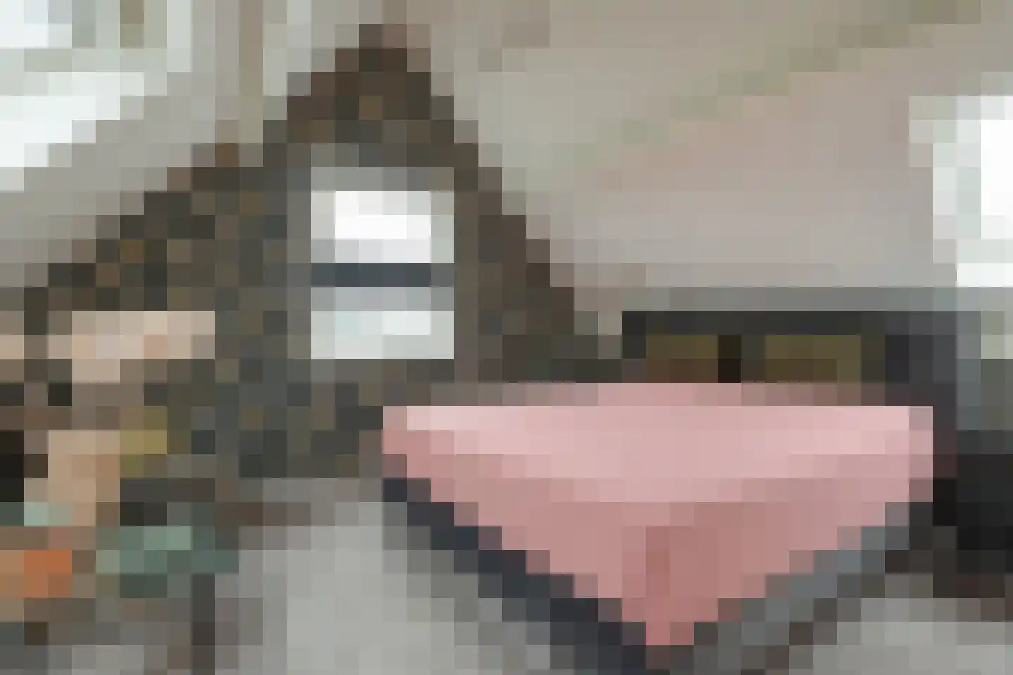 Westeinde 26 Schermerhorn thumbnail 25