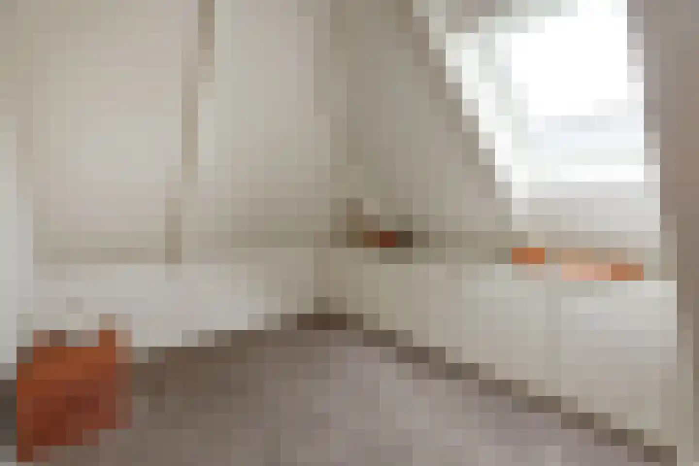 Westeinde 26 Schermerhorn thumbnail 30