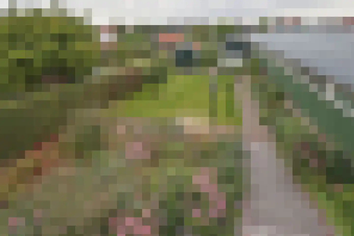 Westeinde 26 Schermerhorn thumbnail 38