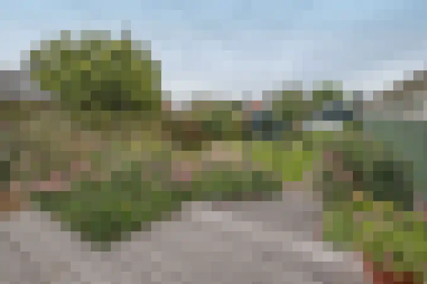 Westeinde 26 Schermerhorn thumbnail 41