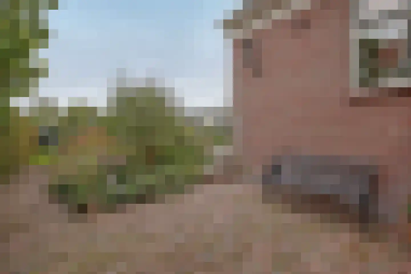 Westeinde 26 Schermerhorn thumbnail 43