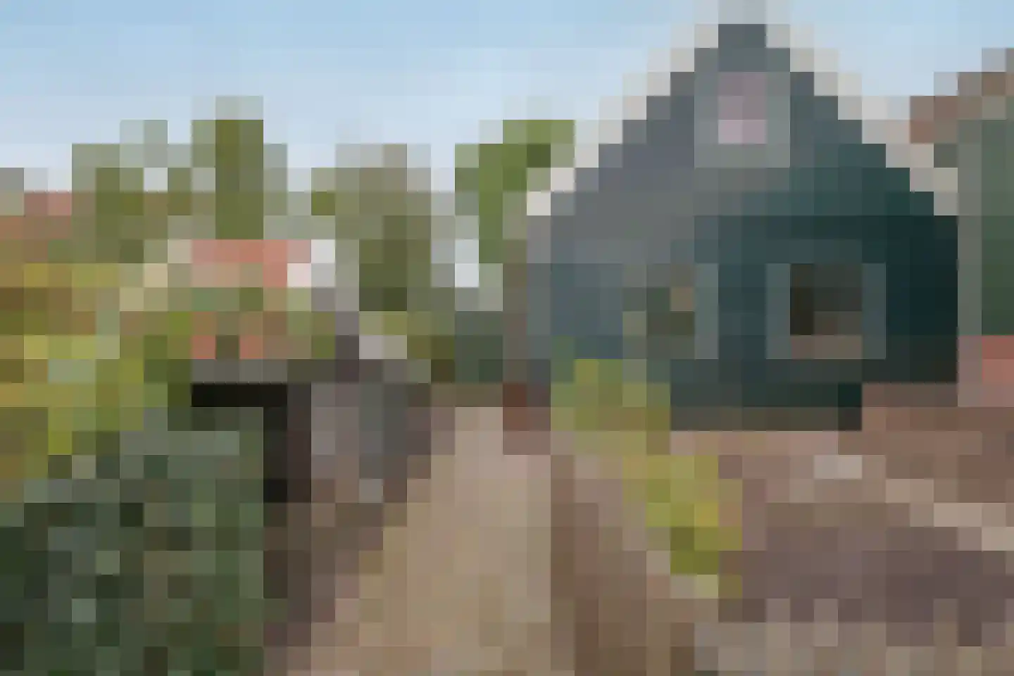 Westeinde 26 Schermerhorn thumbnail 49
