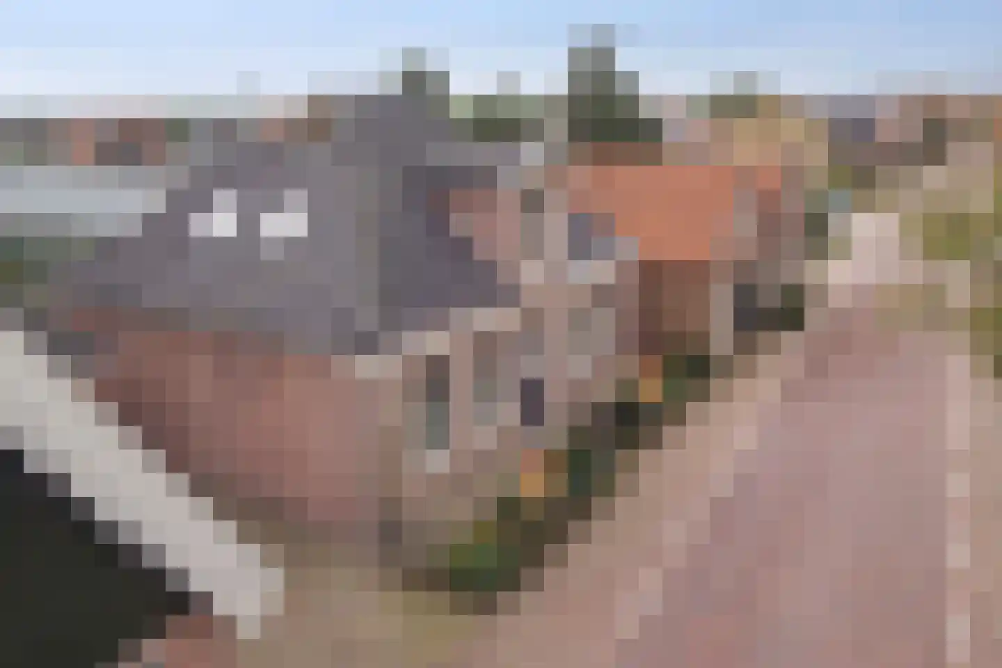 Westeinde 26 Schermerhorn thumbnail 53