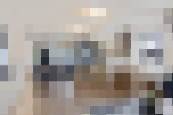Westeinde 26 Zwartsluis thumbnail 12