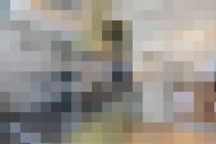Westeinde 26 Zwartsluis thumbnail 15