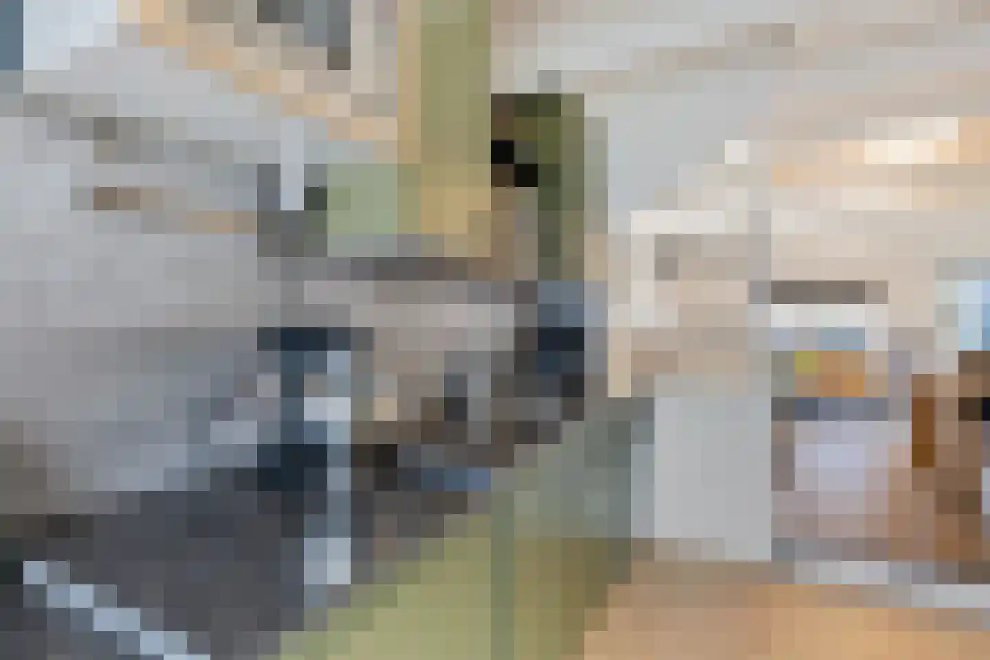 Westeinde 26 Zwartsluis thumbnail 15