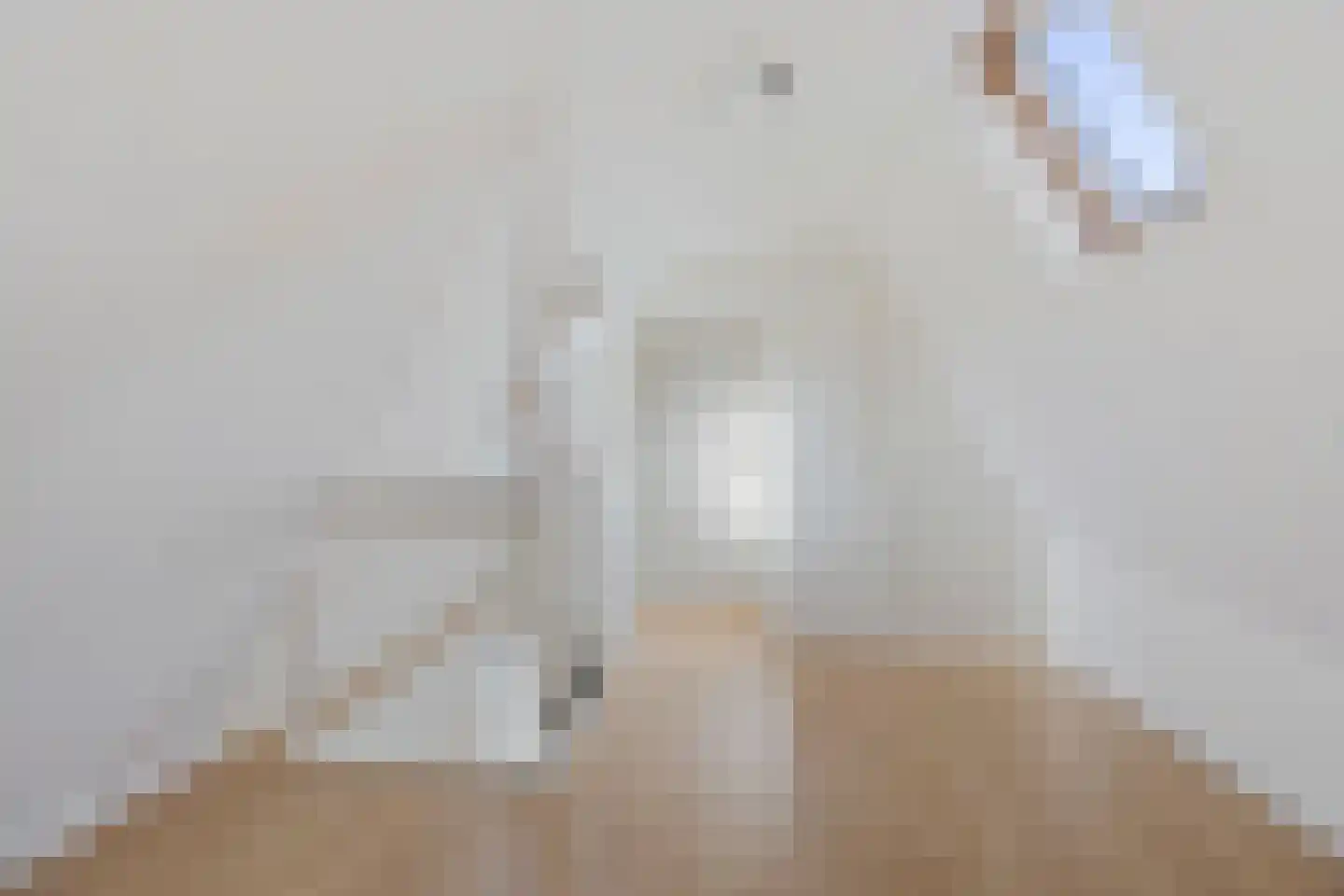 Westeinde 26 Zwartsluis thumbnail 35