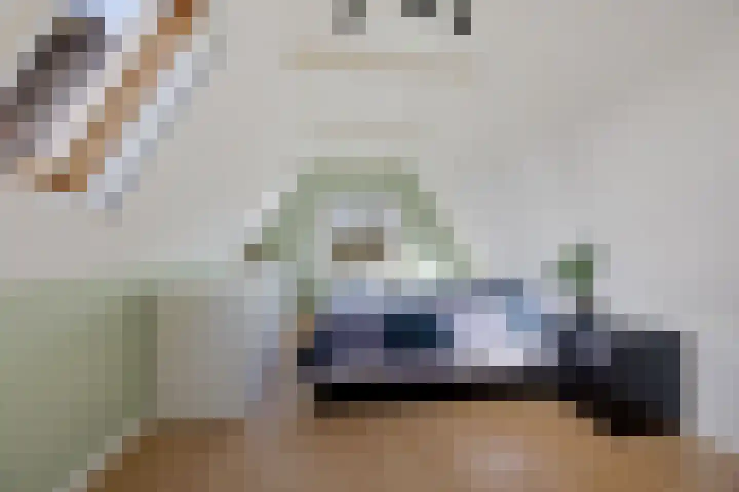 Westeinde 26 Zwartsluis thumbnail 36