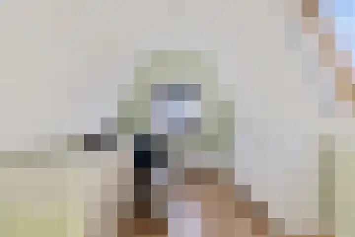 Westeinde 26 Zwartsluis thumbnail 39