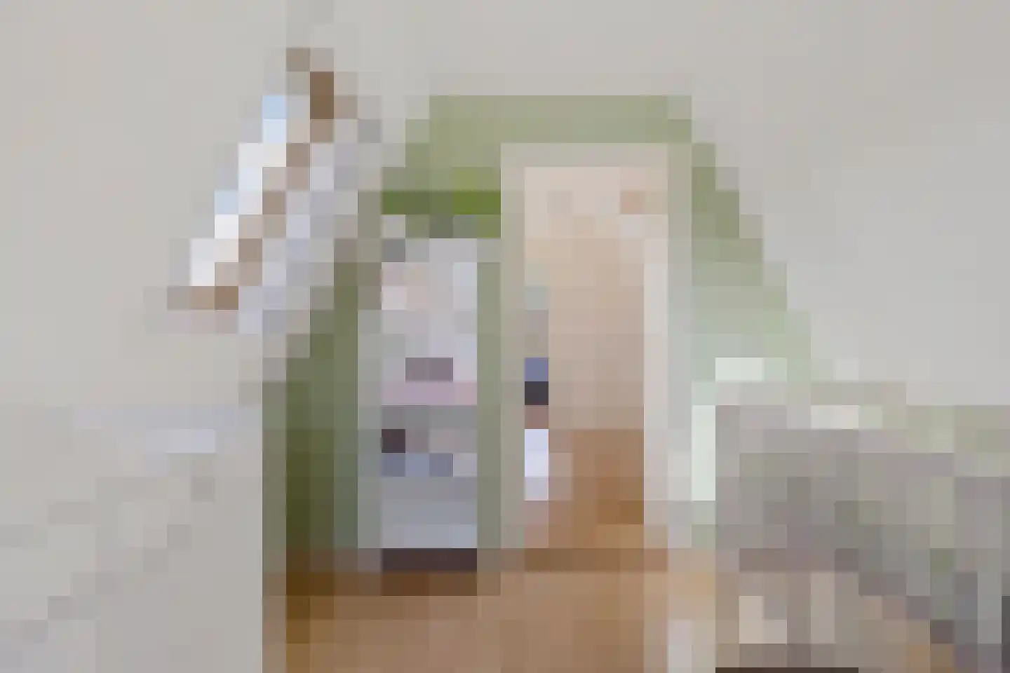 Westeinde 26 Zwartsluis thumbnail 39