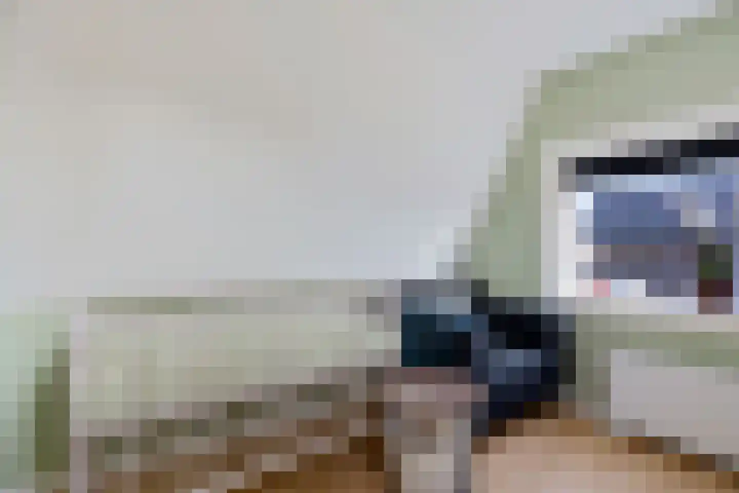Westeinde 26 Zwartsluis thumbnail 40