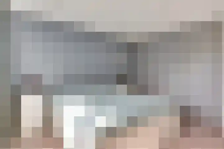 Westeinde 265 Berkhout thumbnail 21