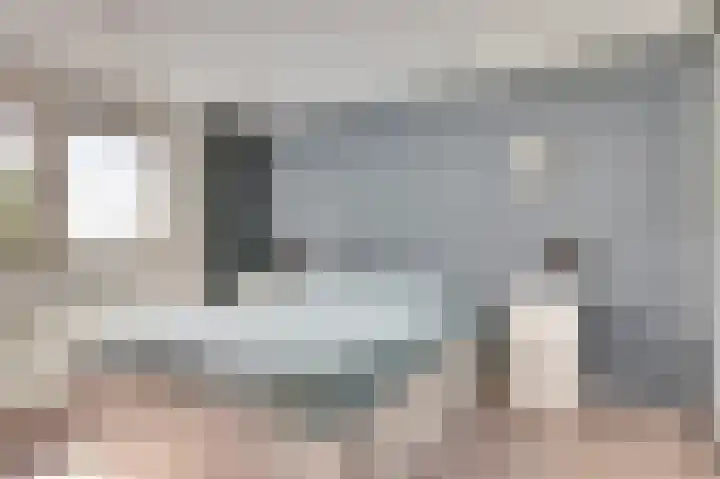 Westeinde 265 Berkhout thumbnail 22