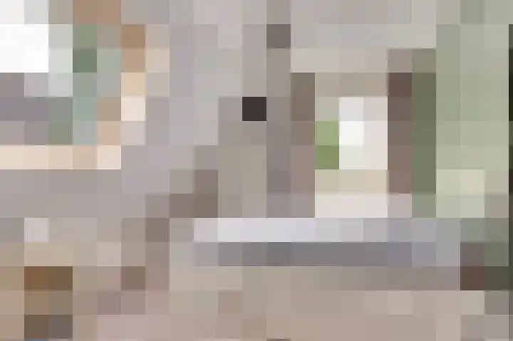 Westeinde 265 Berkhout thumbnail 24