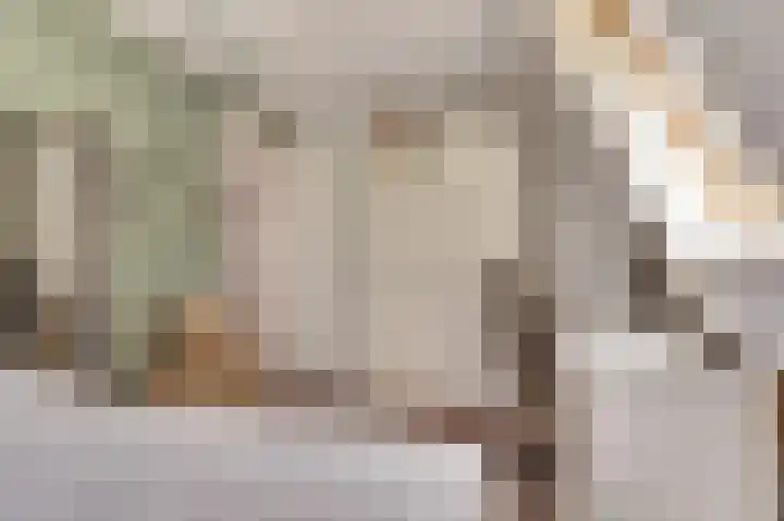 Westeinde 265 Berkhout thumbnail 25