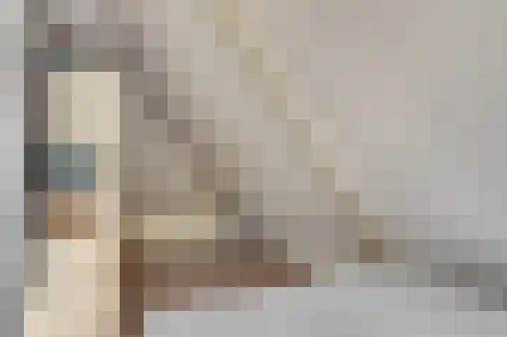Westeinde 265 Berkhout thumbnail 28