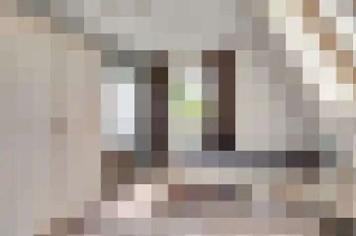 Westeinde 265 Berkhout thumbnail 29