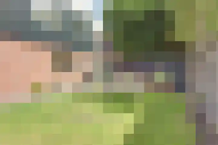 Westeinde 265 Berkhout thumbnail 31