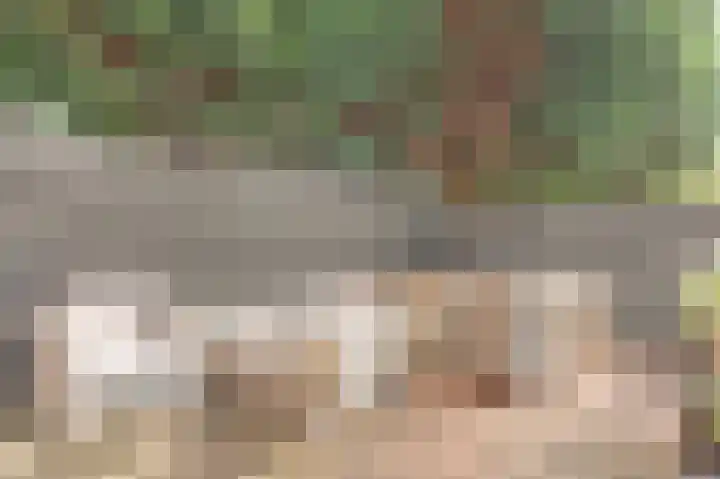 Westeinde 265 Berkhout thumbnail 32