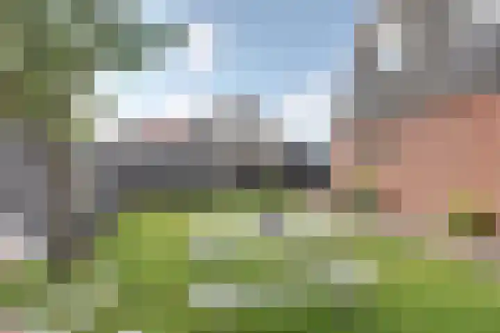 Westeinde 265 Berkhout thumbnail 33