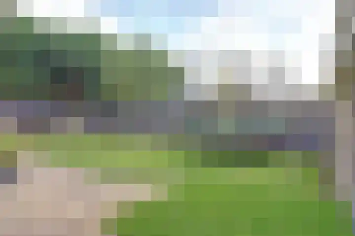 Westeinde 265 Berkhout thumbnail 34