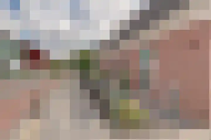 Westeinde 265 Berkhout thumbnail 37