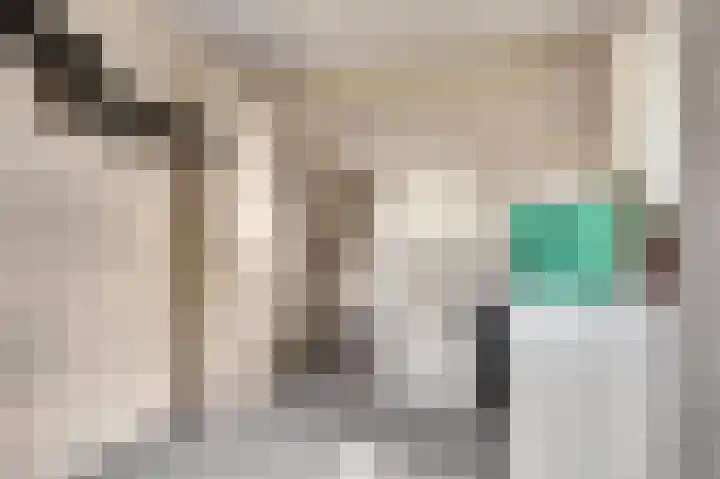 Westeinde 265 Berkhout thumbnail 6