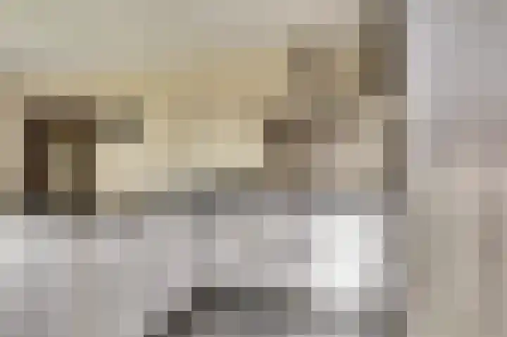 Westeinde 265 Berkhout thumbnail 8