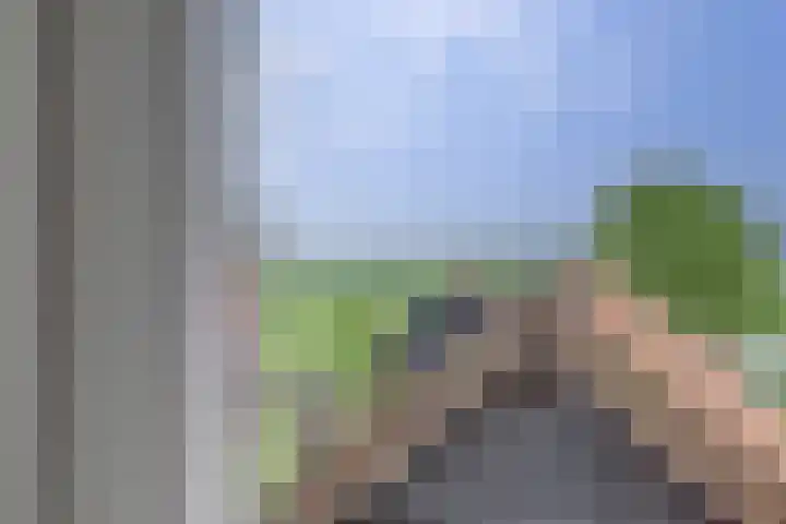 Westeinde 28 Oud-Alblas thumbnail 30