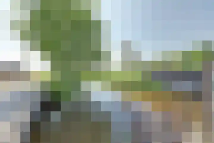 Westeinde 28 Oud-Alblas thumbnail 42