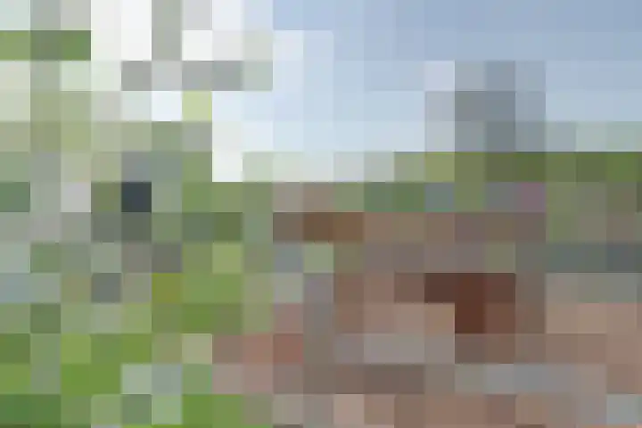 Westeinde 28 Oud-Alblas thumbnail 48