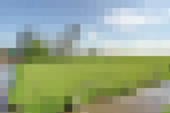 Westeinde 28 Oud-Alblas thumbnail 50