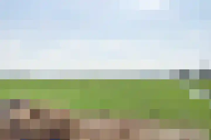 Westeinde 28 Oud-Alblas thumbnail 51