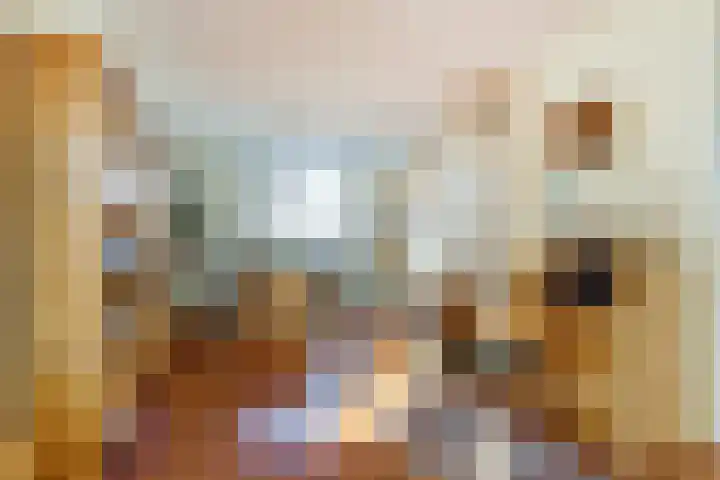 Westeinde 28 Roelofarendsveen thumbnail 20