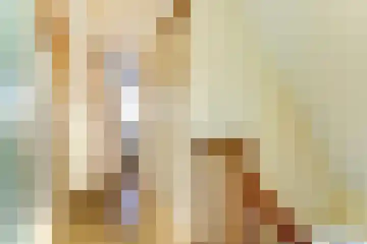 Westeinde 28 Roelofarendsveen thumbnail 35