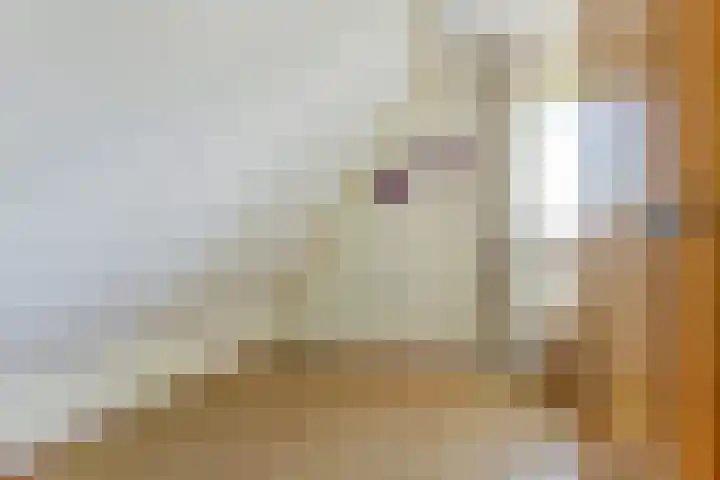 Westeinde 28 Roelofarendsveen thumbnail 47