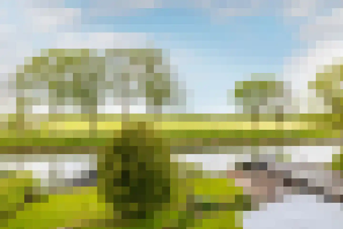 Westeinde 29 Oosthuizen thumbnail 41