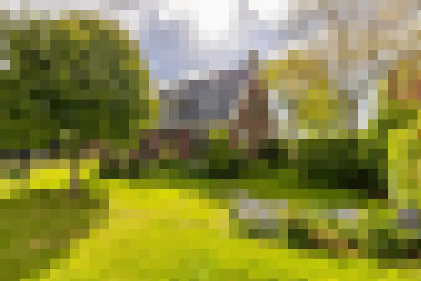 Westeinde 29 Oosthuizen thumbnail 44