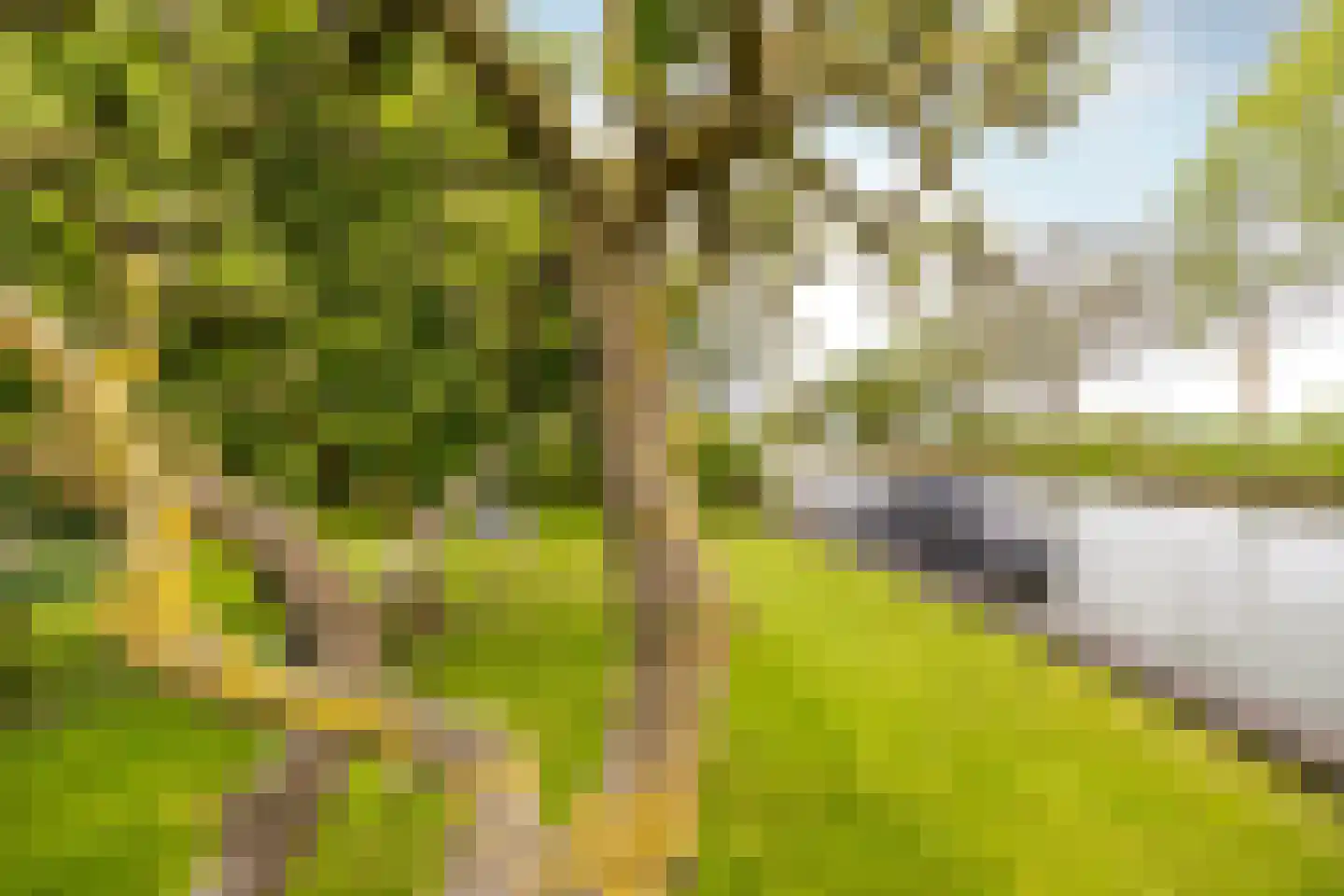 Westeinde 29 Oosthuizen thumbnail 47