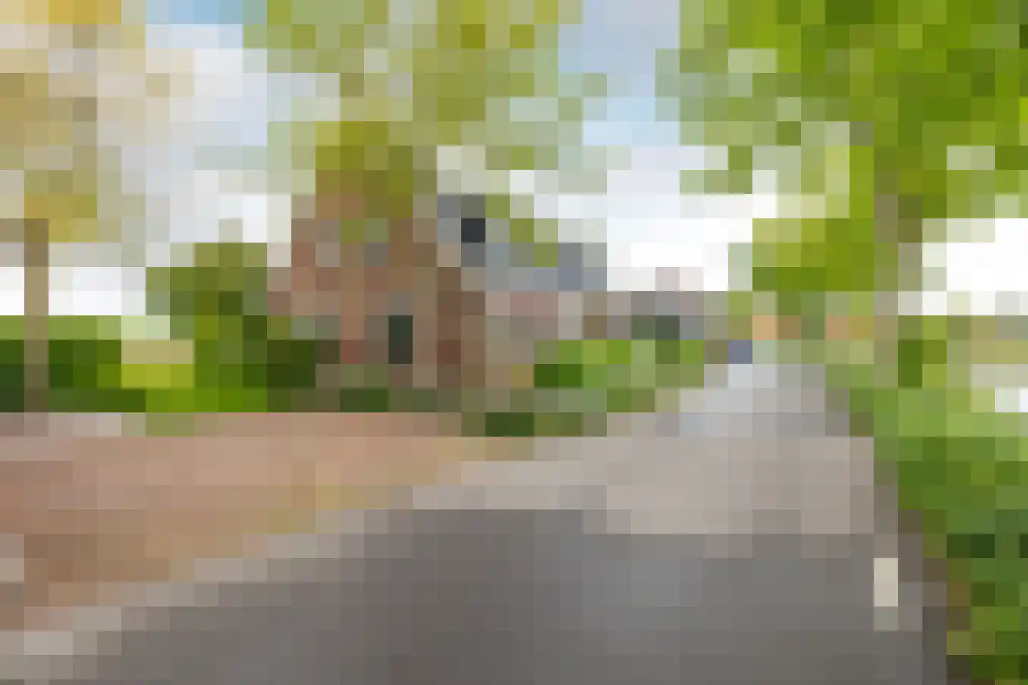 Westeinde 29 Oosthuizen thumbnail 54