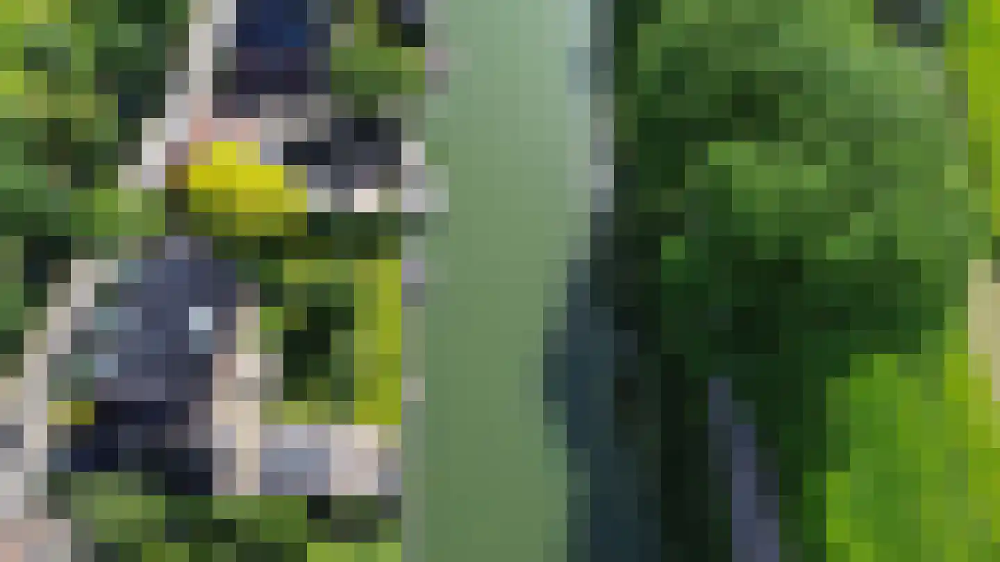 Westeinde 29 Oosthuizen thumbnail 60