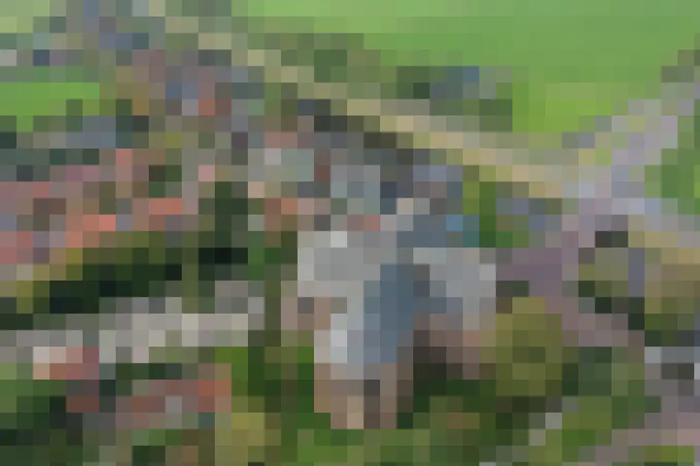 Westeinde 3 Oosthuizen thumbnail 29