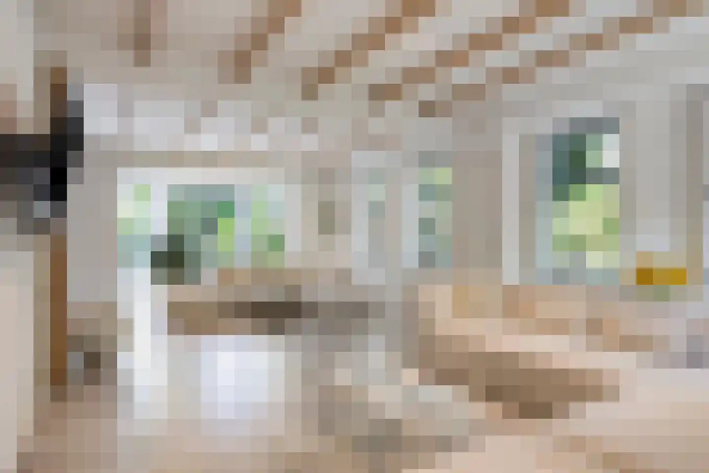 Westeinde 303 Berkhout thumbnail 13