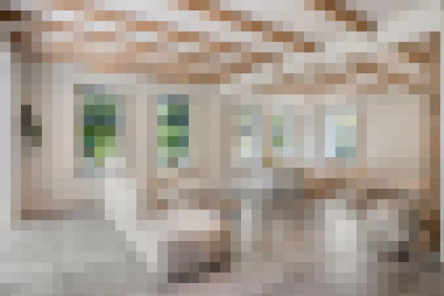 Westeinde 303 Berkhout thumbnail 14