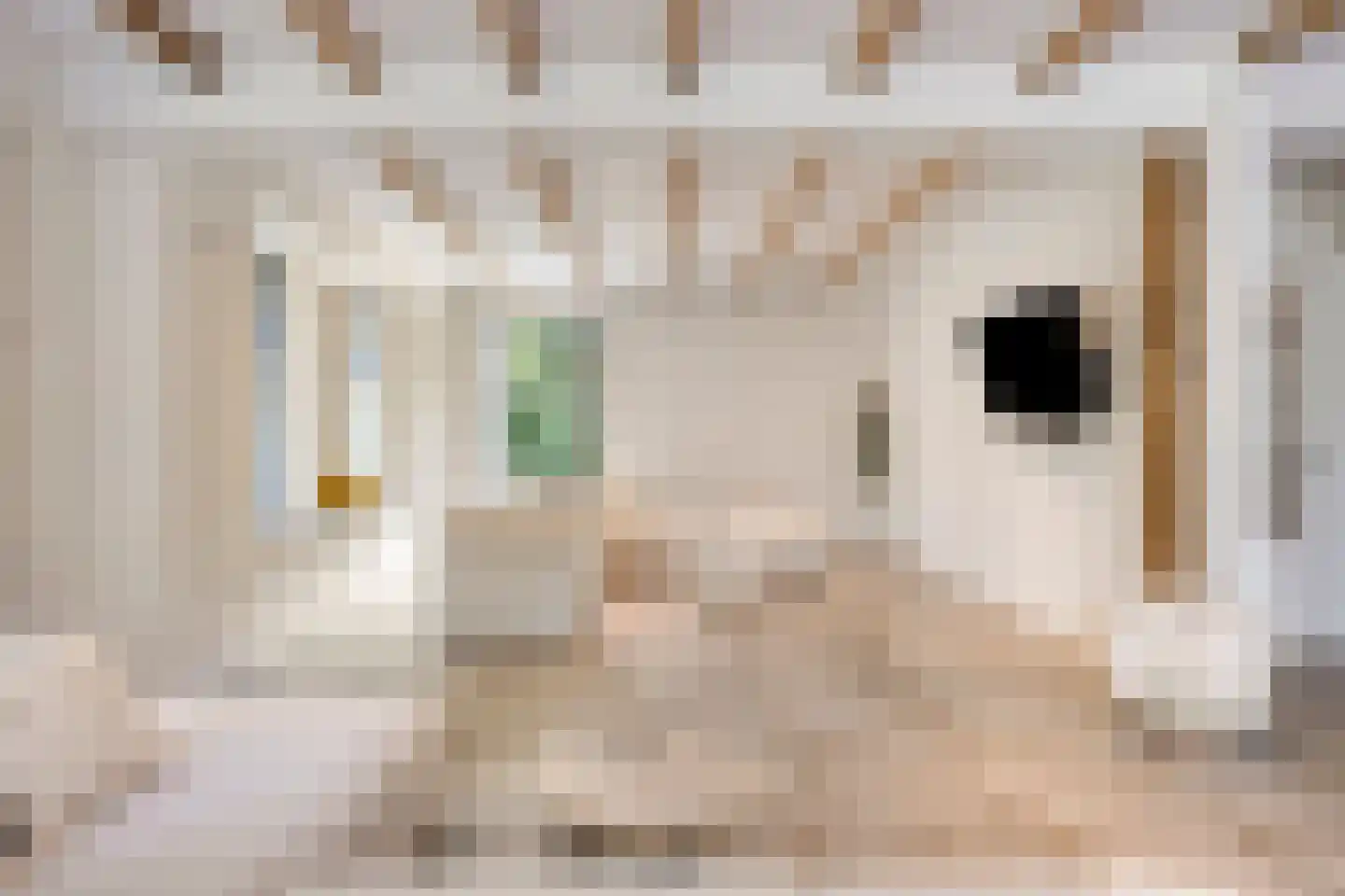 Westeinde 303 Berkhout thumbnail 15