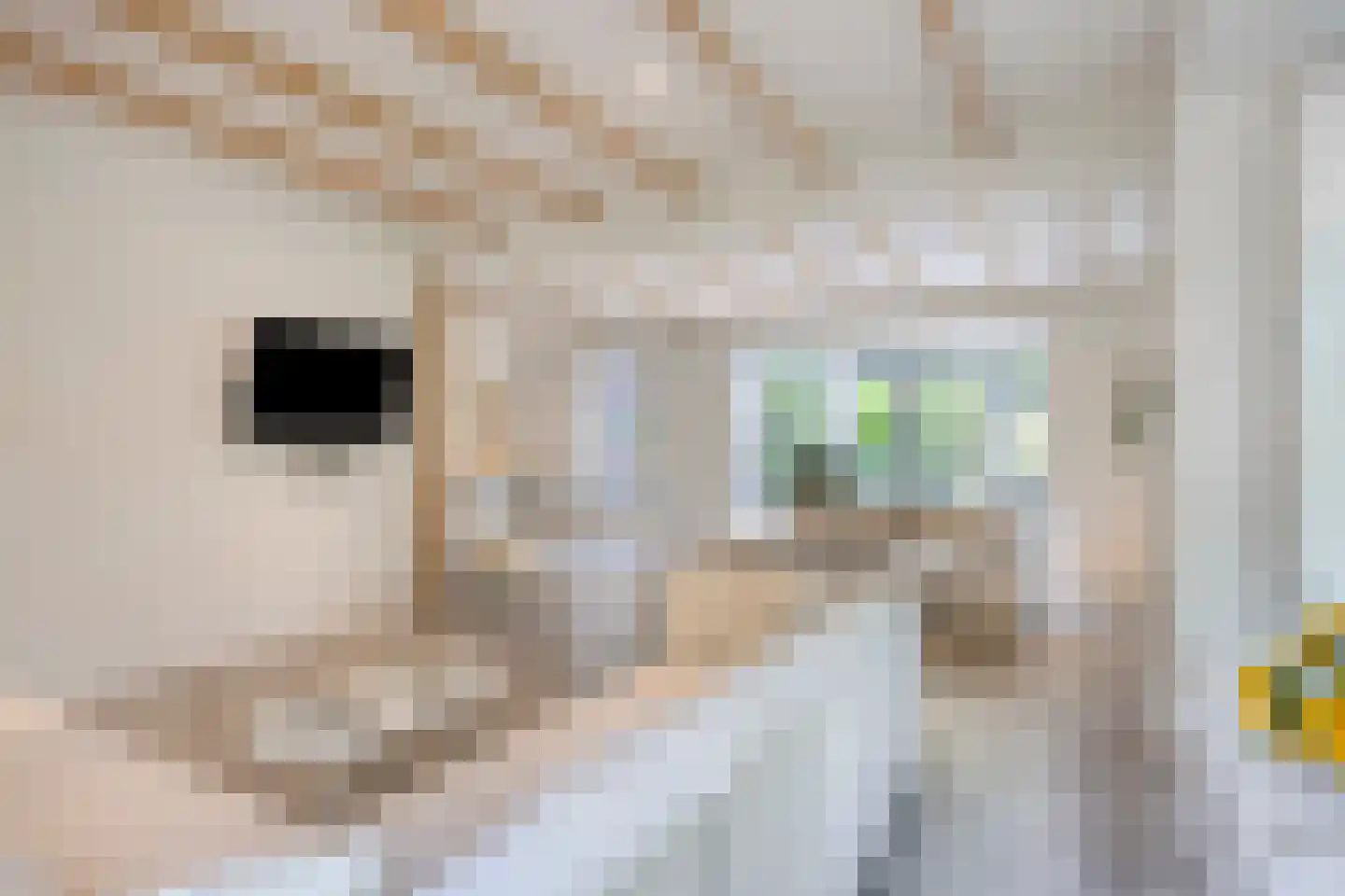 Westeinde 303 Berkhout thumbnail 17