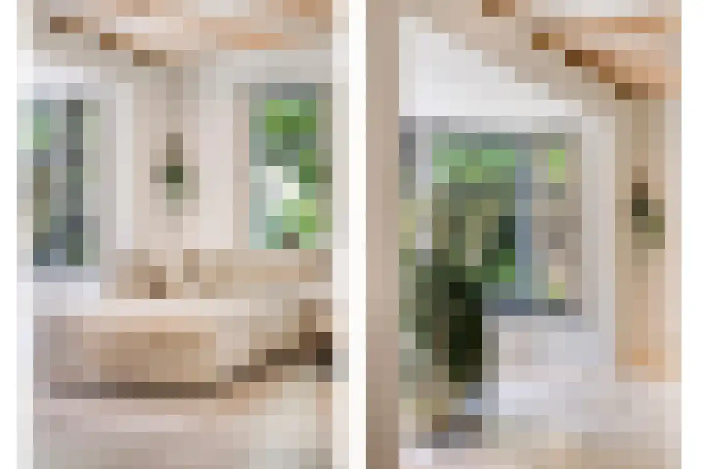 Westeinde 303 Berkhout thumbnail 21