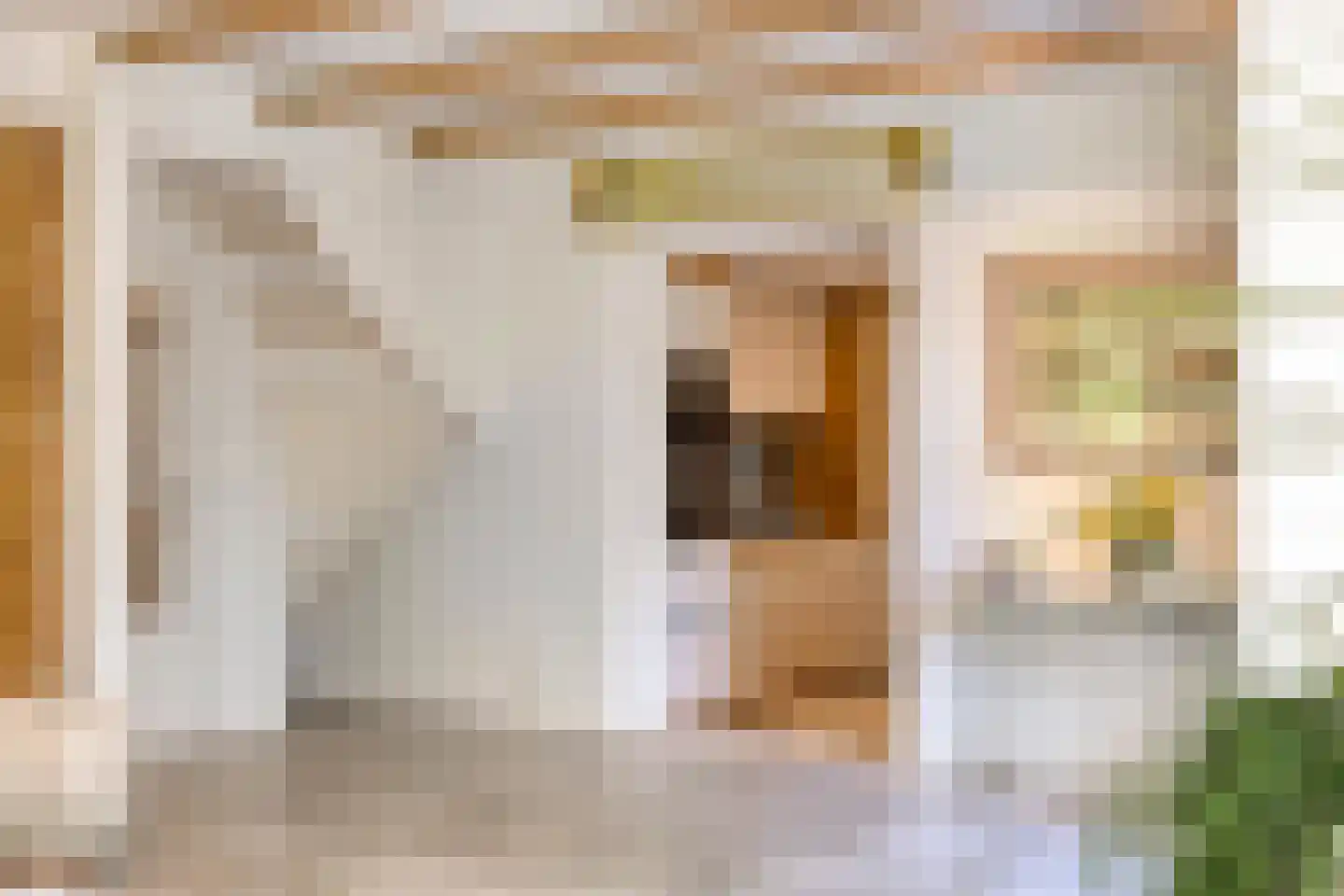 Westeinde 303 Berkhout thumbnail 23