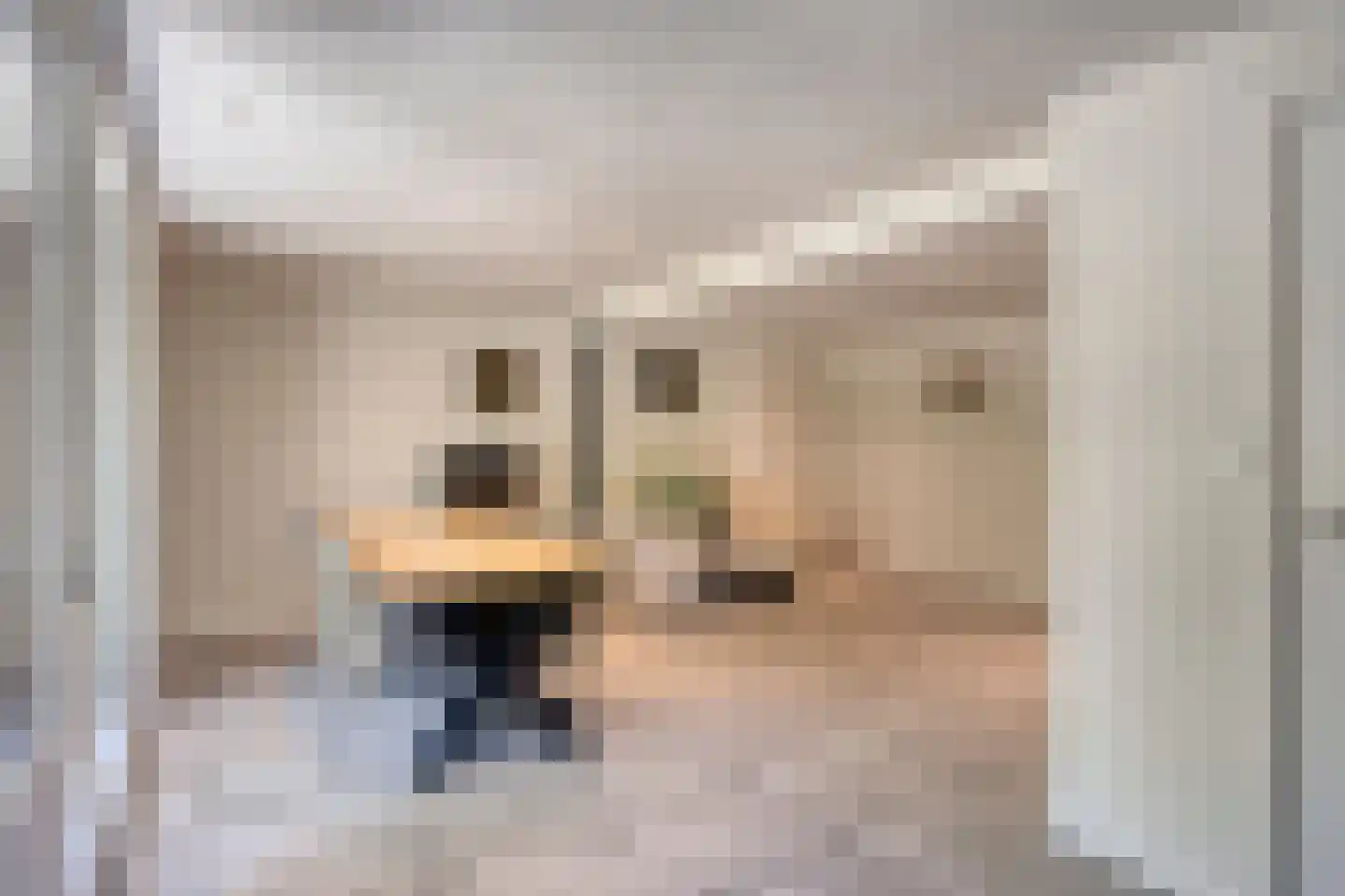 Westeinde 303 Berkhout thumbnail 28
